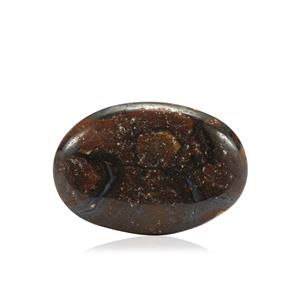 23.64ct Boulder Opal (N)