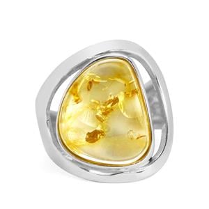 Baltic Champagne Amber Sterling Silver Ring (15 x 12mm)