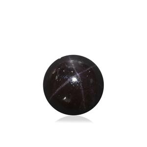 30.64ct Star Garnet (N)