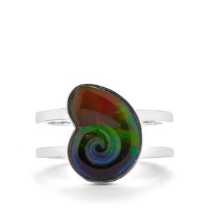AA Ammolite Sterling Silver Ring (14 x 11mm)