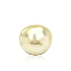 Golden South Sea Cultured Pearl (9 to 10mm) (N) 