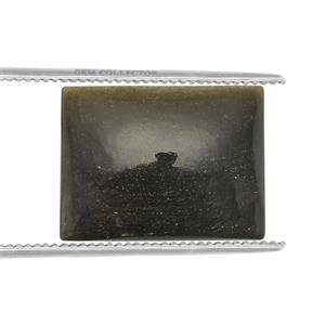 12.95ct Gold Sheen Obsidian (N)