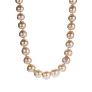 Golden South Sea Cultured Pearl Graduated Necklace in Sterling Silver