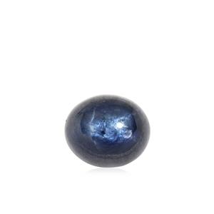 12.78ct Blue Star Sapphire (N)