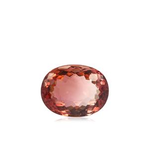 5.81ct Padparadscha Tourmaline (N)