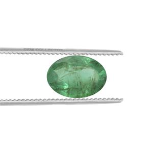 0.53ct Bahia Emerald (O)