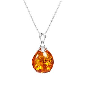 Baltic Cognac Amber Sterling Silver Slider Necklace (30 x 23mm)