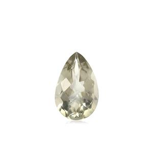 9.90ct Prasiolite (H)