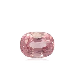 The Bennett Vault - 1.46ct SI Tajik Spinel (N)