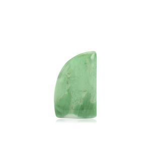 19.68ct Variscite (N)