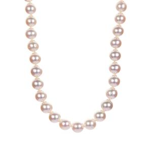 South Sea Cultured Pearl Sterling Silver Necklace (8.50mm)