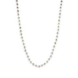 Akoya Cultured Pearl Rhodium Plated Sterling Silver Necklace (8mm)