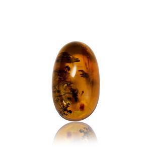 1 of 1 - Mexican Amber (27.50 x 16.50mm) (N) 
