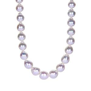 South Sea Cultured Pearl Sterling Silver Graduated Necklace 