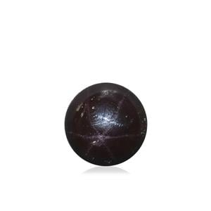 13.40ct Star Garnet (N)
