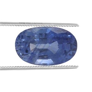 Ceylon Sapphire  0.3ct