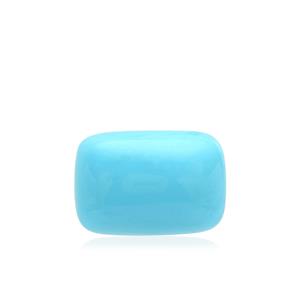 3.89ct Sleeping Beauty Turquoise 