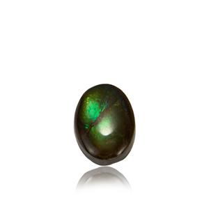 Ammolite (16 x 12mm) 