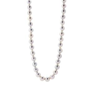 South Sea Cultured Pearl Sterling Silver Necklace in (8.50mm)
