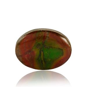 Ammolite (14.50mm x 19.50mm) 