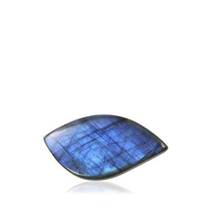 46.92ct Labradorite (N)