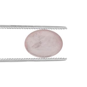 34.05ct Pink Morganite (H)