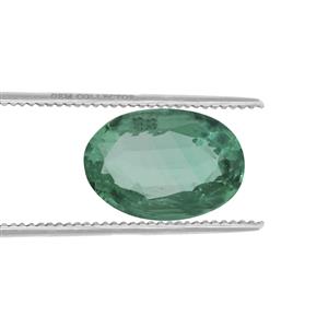 0.40ct Colombian Emerald (O)