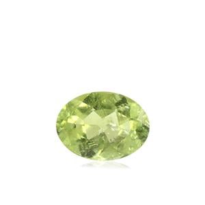 .73ct Paraiba Tourmaline (H)