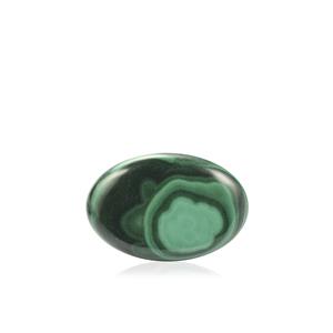 40.88ct Congo Bullseye Malachite (N)
