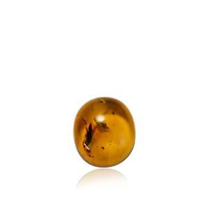 1 of 1 - Mexican Amber (N) 