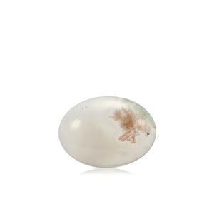 6.45ct Aquaprase™ (N)