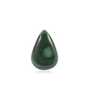 44.46ct Congo Bullseye Malachite (N)