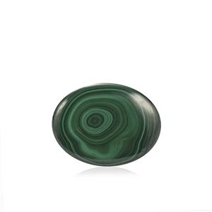 84.41ct Congo Bullseye Malachite (N)