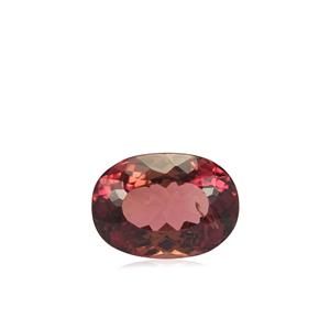 4.85ct Padparadscha Tourmaline (N)