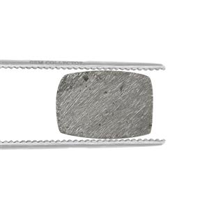 12.77ct Meteorite (N)