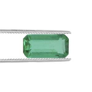 .23ct Panjshir Emerald (O)