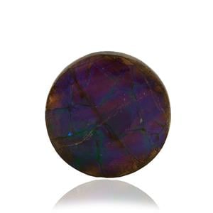 Ammolite (20mm) 