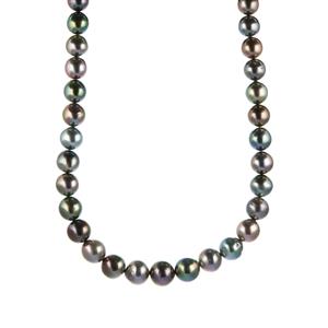 Tahitian Cultured Pearl Gold Tone Sterling Silver Graduated Necklace