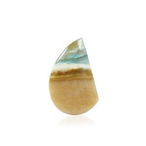 6.31ct Wood Opal (N)