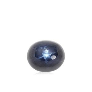 16.36ct Blue Star Sapphire (N)