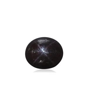 6.43ct Star Garnet (N)
