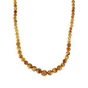 179.15ct Golden Tiger's Eye Sterling Silver Graduated Necklace 