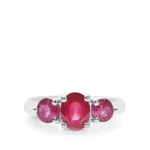 Malagasy Ruby Ring  in Sterling Silver 3.09cts (F)