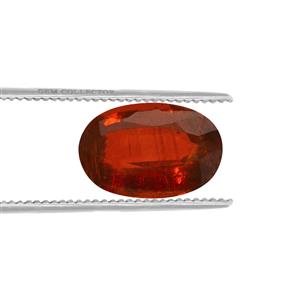 4.50ct AAA Orange Kyanite (N)