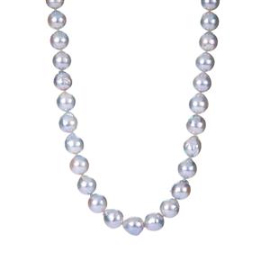 Naturally Silver-Blue Akoya Cultured Pearl Necklace in Sterling Silver (8 x 7mm)