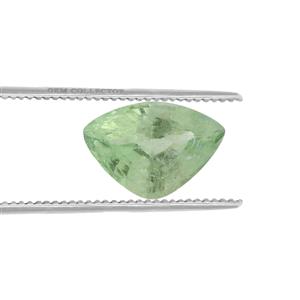 .50ct Paraiba Tourmaline (H)