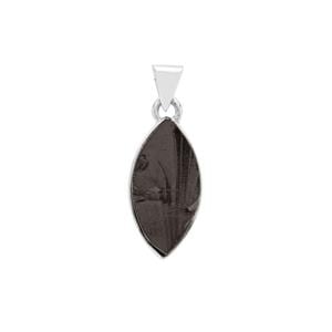 Shungite Pendant in Sterling Silver 10cts