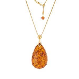 Baltic Cognac Amber Gold Tone Sterling Silver Slider Necklace (50 x 30mm)