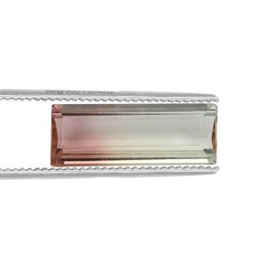 3.18ct Brazilian Bi Colour Tourmaline (N)