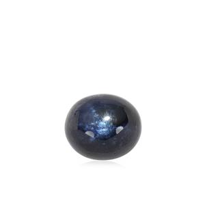 15.98ct Blue Star Sapphire (N)